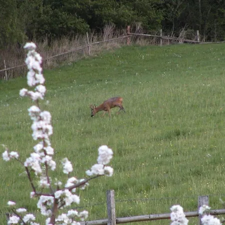 Σπίτι διακοπών Kotmarhuette